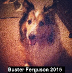 Buster Ferguson .2015